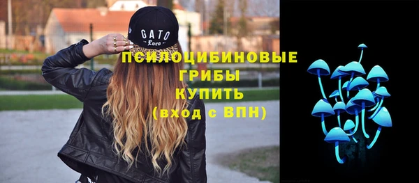 спиды Костерёво