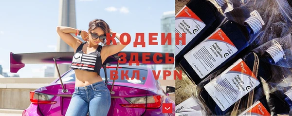 мдпв Ленинск