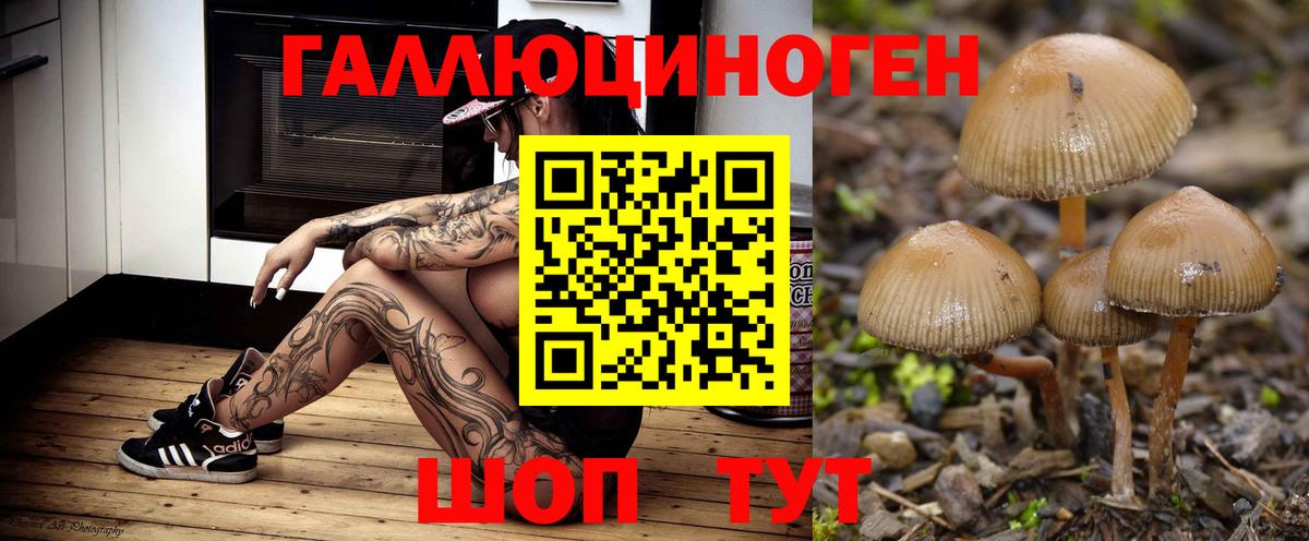 Галлюциногенные грибы прущие грибы Мелеуз